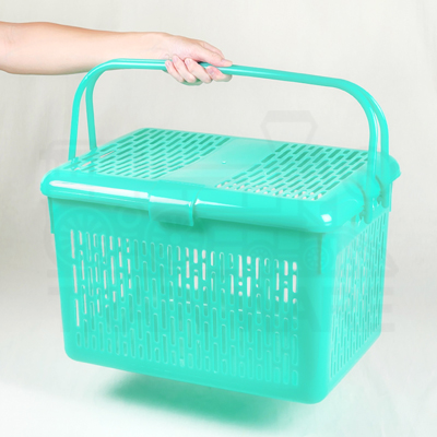 Wholesale mint green pet carrier baskets with lids and handles in small medium large sizes at cheap bulk price in Bang Kradi Rama2 Bangkok Thailand